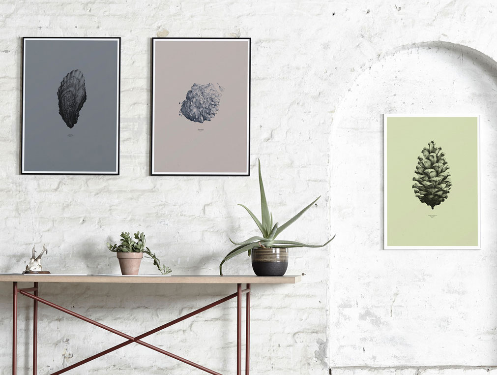 regla del 3 en decoración