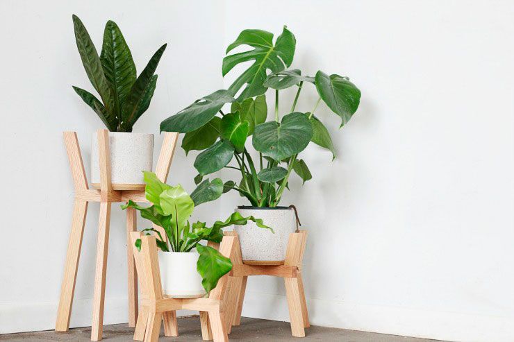 regla del 3 en decoración