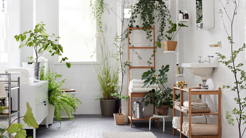 Las plantas le dan vida a tu baño.