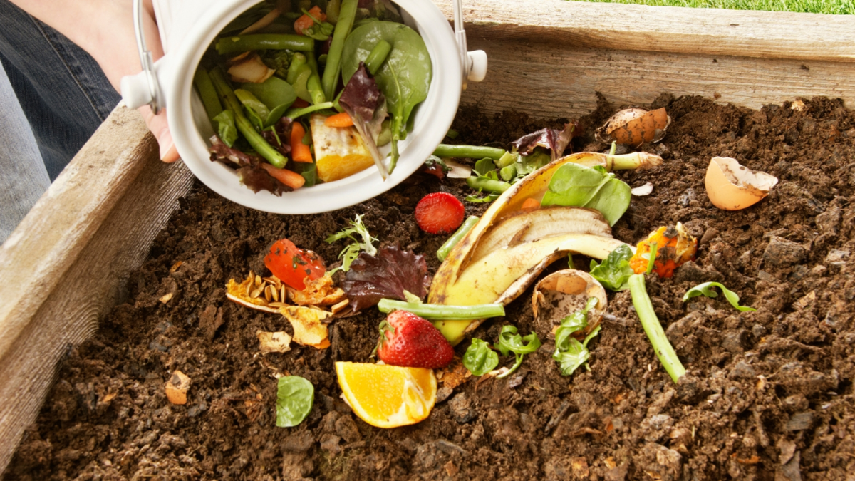 Cuidar el medio ambiente en casa