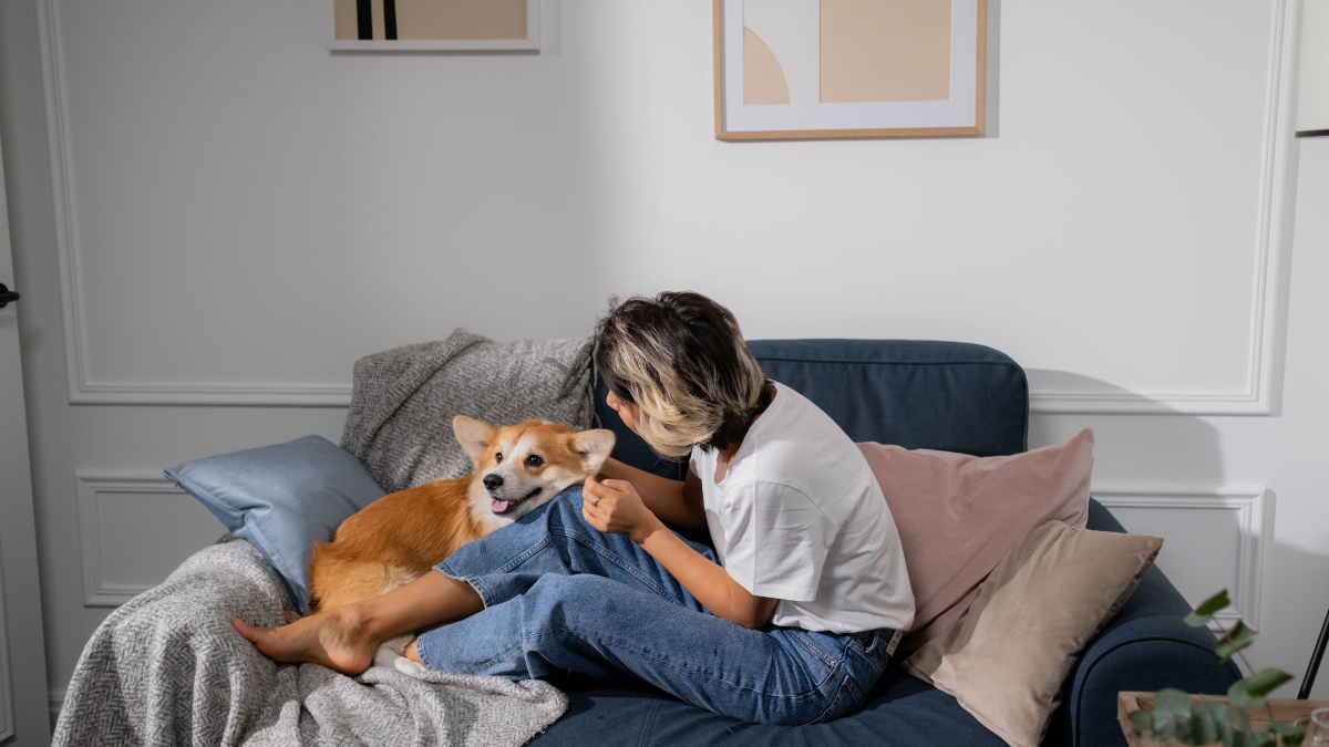 Mantener la casa limpia si tienes mascotas