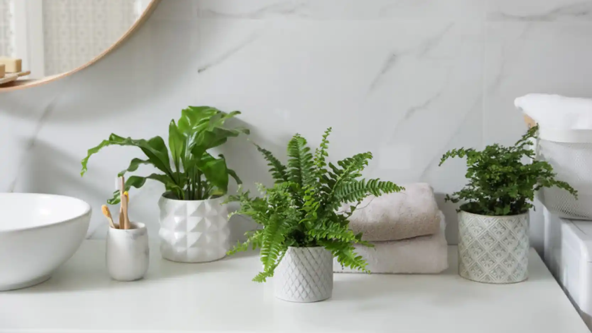 decorar un baño pequeño