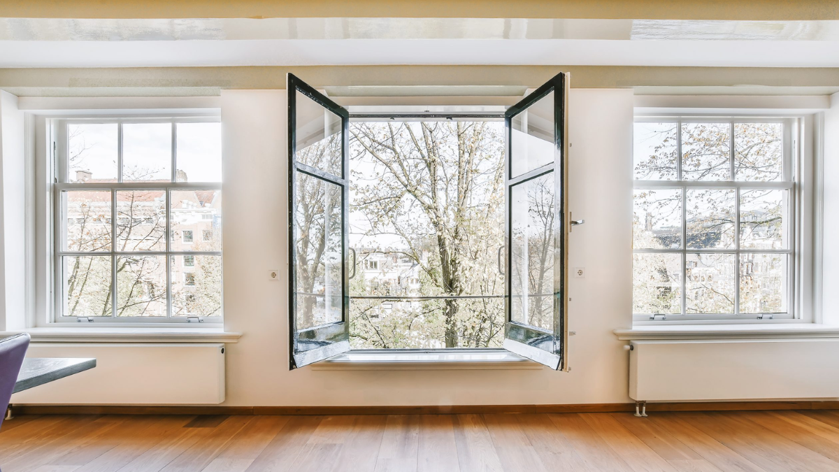 mantener la casa limpia si tienes mascotas