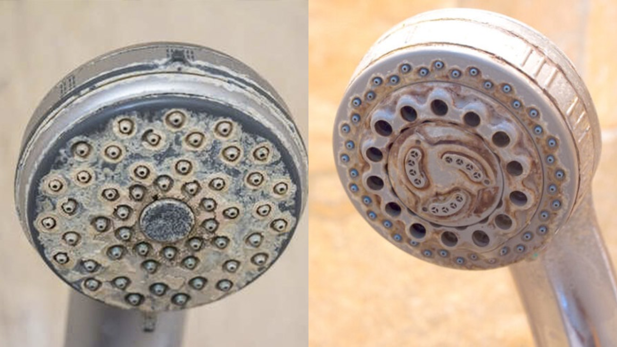 Eliminar el sarro de la ducha