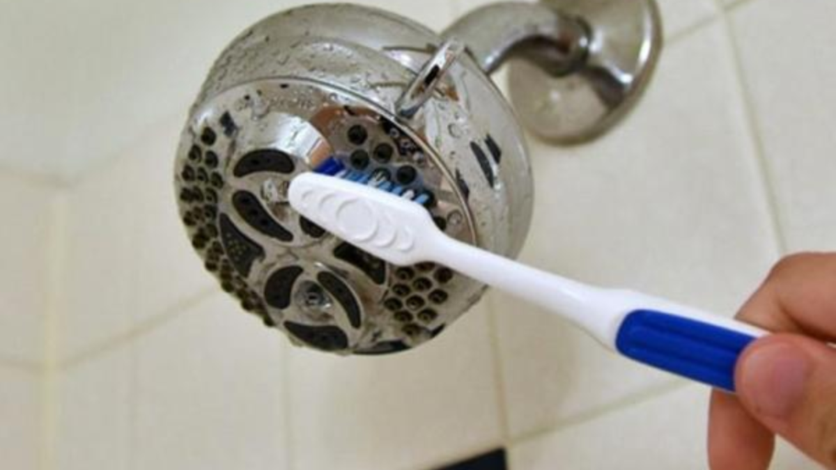 Eliminar el sarro de la ducha con un cepillo