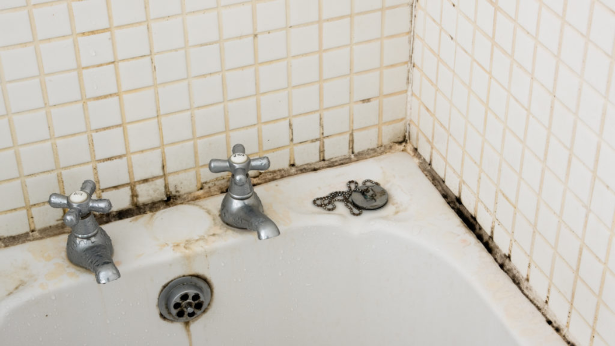 Eliminar el moho de la ducha