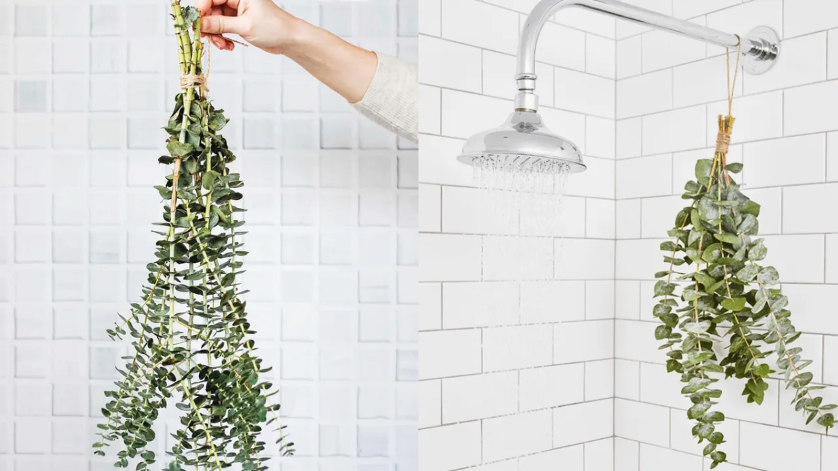 eucalipto en la ducha