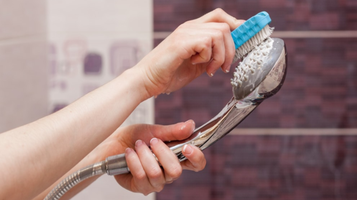 limpiar la alcachofa