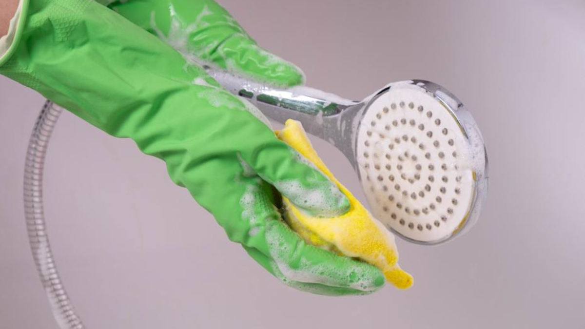 limpiar la alcachofa